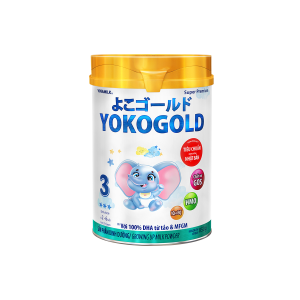 YokoGold 3 (2-6 tuổi)